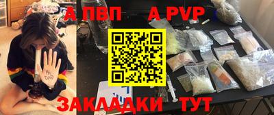 амф Кингисепп