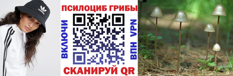 Галлюциногенные грибы прущие грибы  Мирный 