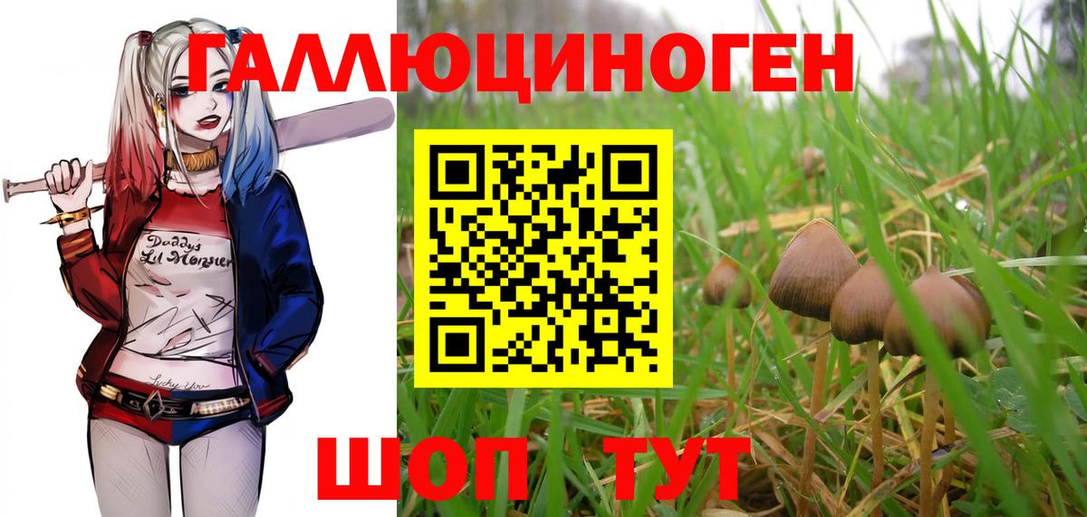Мирный  Псилоцибиновые грибы мицелий  купить  цена  Галлюциногенные грибы прущие грибы  Вход с VPN 