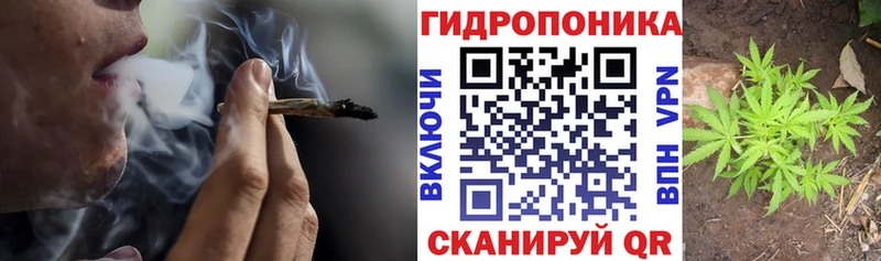 где можно купить   Мирный  Каннабис White Widow 