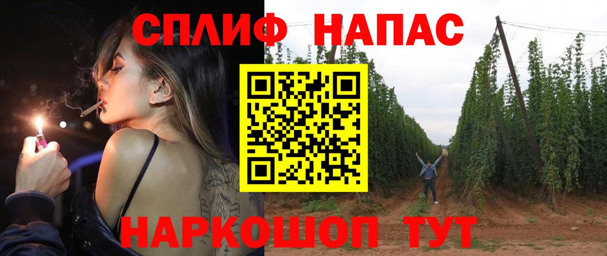 Канабис планчик Мирный